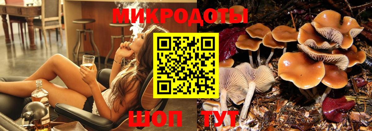 Галлюциногенные грибы мухоморы Буйнакск